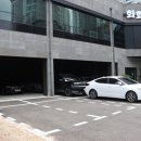 돼지3남매 이미지
