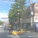 은행나무 경로당 이미지