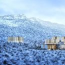 파라스파라 서울 이미지