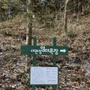 평창여행 2일차) 대관령 양떼목장 / 귀여운 양들과의 만남 후 양떼목장 인생네컷 with 유니뚜