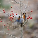 개울민박 이미지