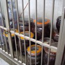 정아식당 이미지