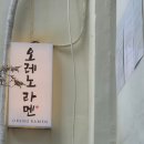 오레노라멘 인사점 | 종로 줄서는 라멘 맛집 (웨이팅 할만한가?) / 가격 주차 후기