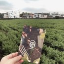 그린농장(GREEN) 이미지