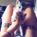 조은느낌 이미지