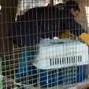 종식농장 이미지