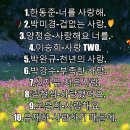 7080사랑발라드 20곡. 겁없는 사랑. 사랑해요 너를. 사랑TWO. 이미지