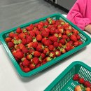 병걸농장 이미지