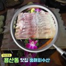 성서용산시장 | [달서구 횟집/성서 용산시장 횟집/단체 모임 하기 좋은 홍매회수산]