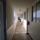 수일초교 이미지