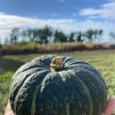 동식농장 이미지