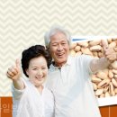 목포보청기