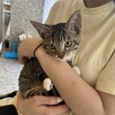 제천 그레이스 동물병원 이미지