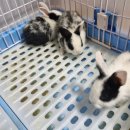 매산리 538 이미지