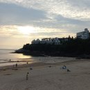 씨엠사이언스 | 10월 토익특강 개강 -청춘들의 간절한 꿈을 청년의 뜨거운 심장으로 이루어 드립니다. 믿음은 넘을 수...