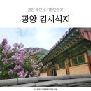 김시식지1길 네이버블로그