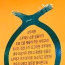 소뚜레한우소곱창 네이버블로그