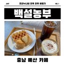 봉산농장 | [예산/봉산] 백설 농부 카페 리뷰 ㅣ 애견 동반 가능한 감성 맛집☕