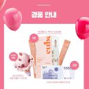 DH바이탈피드㈜ | [액티브 기자단] 2022 부산 나이트레이스 밤바다 즐기는 워터플러스 액티브 나이트런 후기