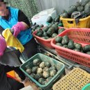 해복농장 이미지