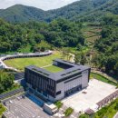 8월의 강아지 이미지