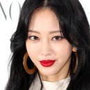 쇼미더헤어
