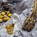 행주농장 이미지