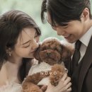 우드제이 스튜디오