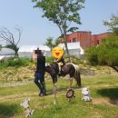 청주실내동물원데이트 아이랑 가볼만한곳 [버드앤쥬] 동물교감 실내놀이터
