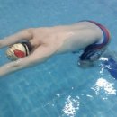 수영 카카오 검색결과