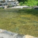 영월농협주유소 이미지