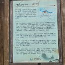 사육신묘 산책로 네이버블로그
