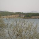 진짜순대 이미지