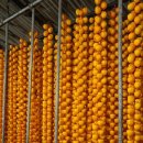 지리산 하늘아래 이미지