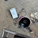 대우카포스 이미지