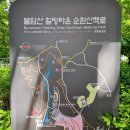 불암산 순환산책로 | 서울 노원 봄나들이 축제...(불암산 철쭉축제, 불암산 힐링타운 순환산책로)