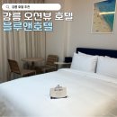 팩앤패키지 | 강릉 오션뷰 호텔 추천 블루앤호텔, NOL 예약 내돈내산 솔직 리뷰