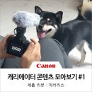 아롱다롱포차 | [캐논 X 영상 크리에이터 콜라보 프로젝트] 캐리에이터 콘텐츠 모아보기 #1