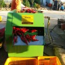 준홍농장 이미지