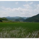 모곡마을회관 이미지