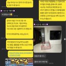 애견샵 어린왕자 | 세종시 토이푸들 분양 후기 (천안, 평택, 아산, 서산, 당진)
