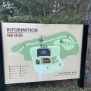 바움B Daum카페