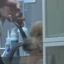 다정다감, 봄 이미지