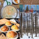 강원도 영월여행 맛집 | 감자옹심이 소금빵 만항재