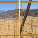 다사농장 이미지