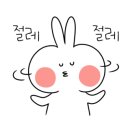 파니아토 이미지