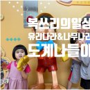 유리나무 | [일상] 아쉬웠던 유리나라 &amp; 나무나라 방문 후기