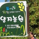 박만수농장 네이버블로그