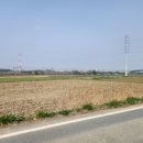 성환천 억새길 이미지