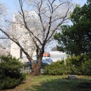 지보중학교 이미지